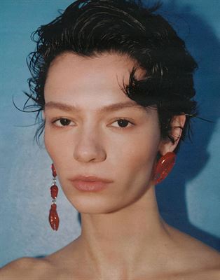 BRAVE MODELS