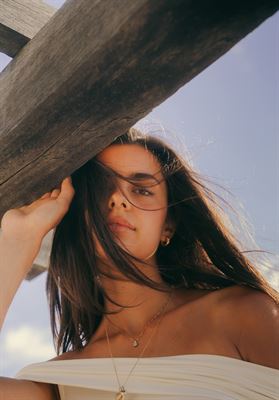 modelbook image no. 251520