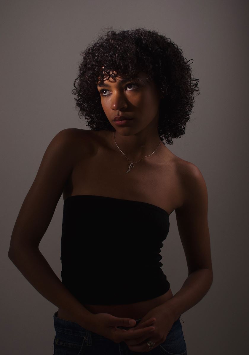 modelbook image no. 255068