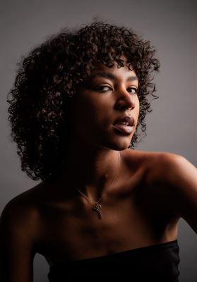 modelbook image no. 255065