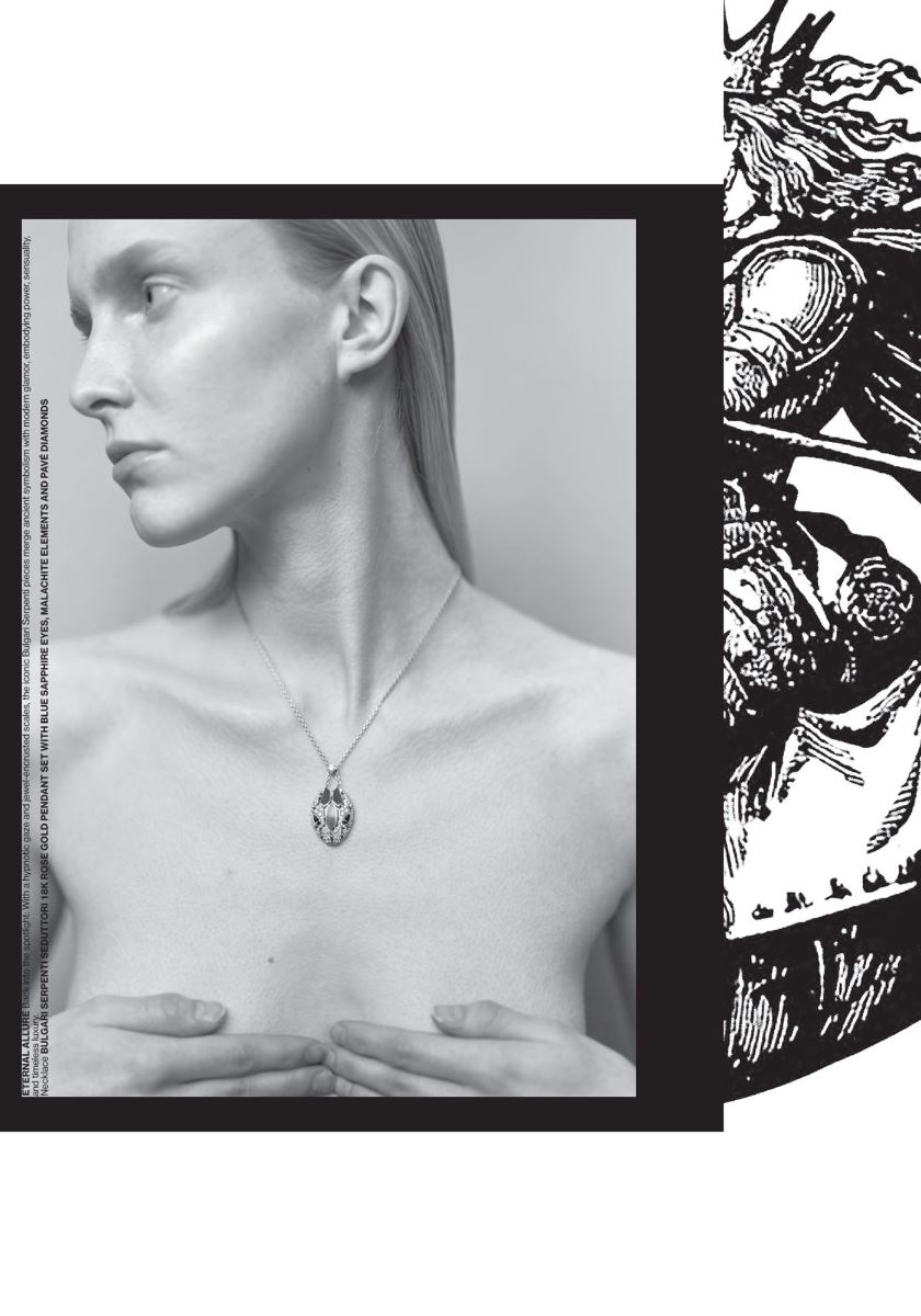 modelbook image no. 248590