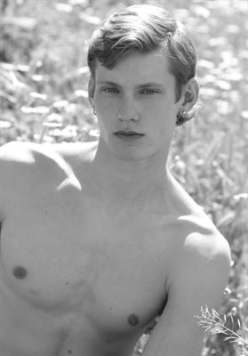 modelbook image no. 264522