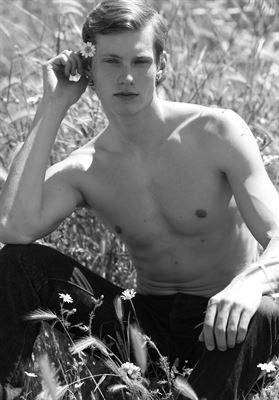 modelbook image no. 264521