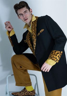 modelbook image no. 268683