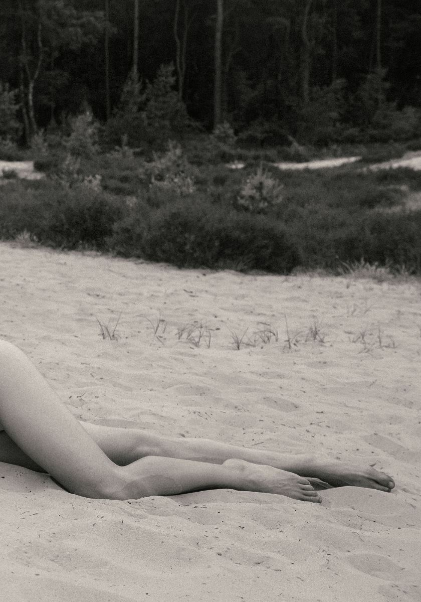 modelbook image no. 246873