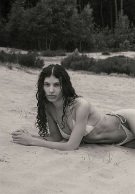 modelbook image no. 246874