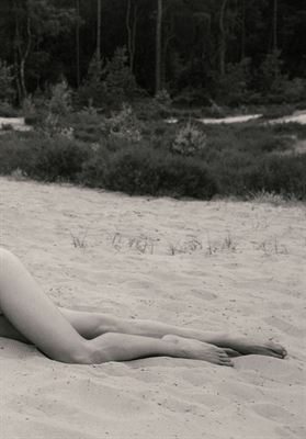 modelbook image no. 246873