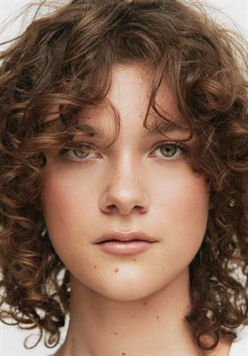 modelbook image no. 248241