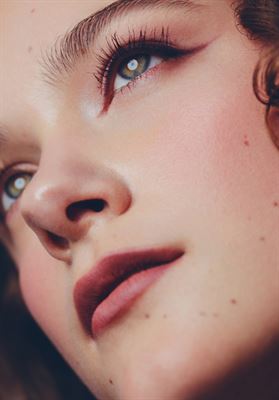 modelbook image no. 255967