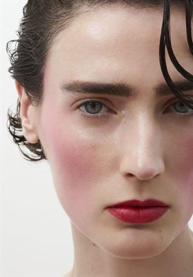 modelbook image no. 248697