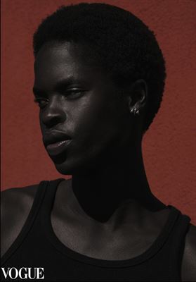 modelbook image no. 252916