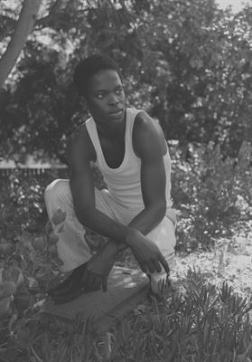 modelbook image no. 256867