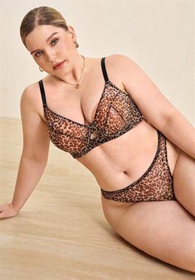 modelbook image no. 268570