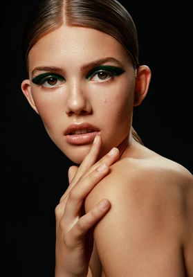 modelbook image no. 246562