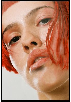 modelbook image no. 258237