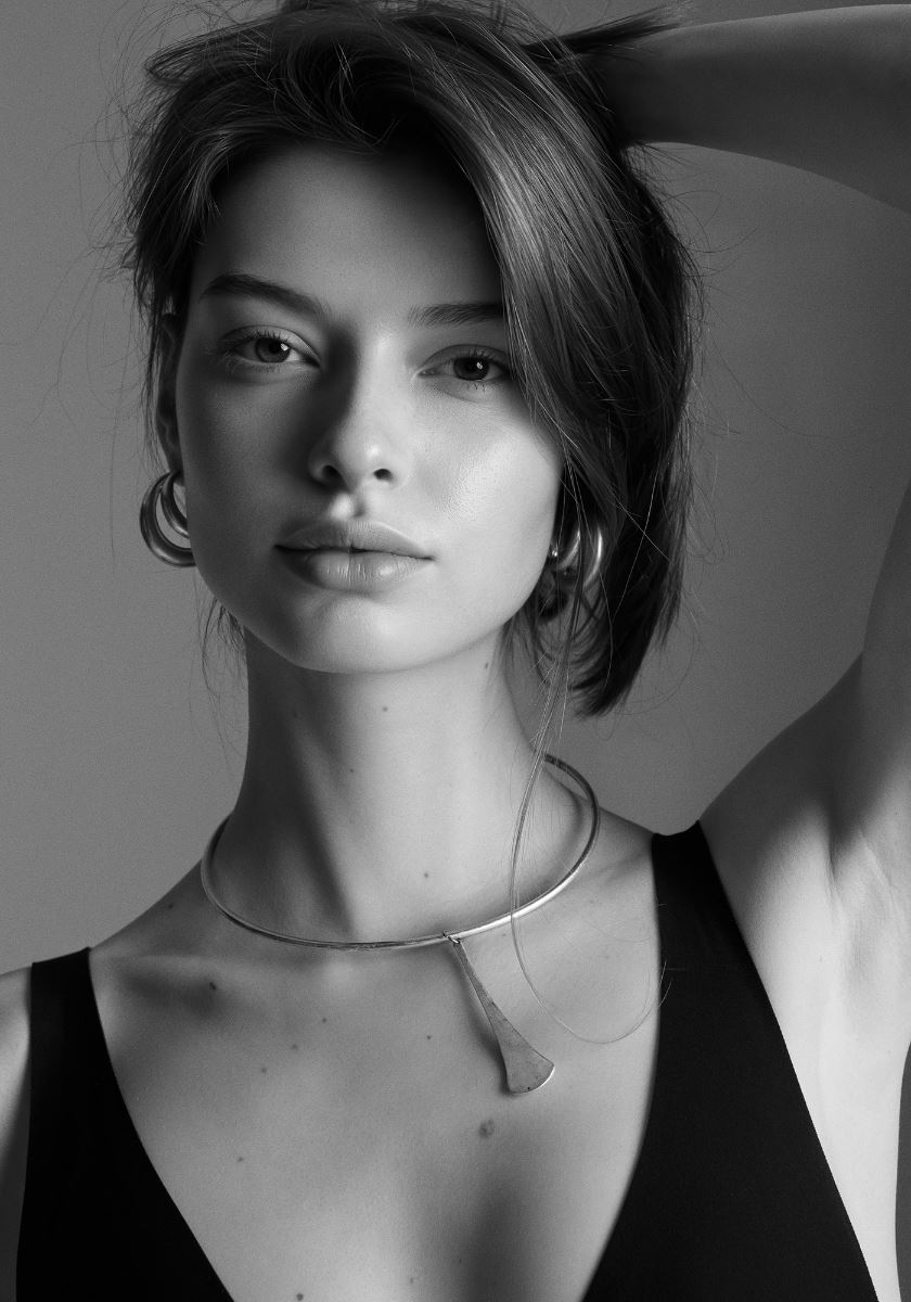 modelbook image no. 264130