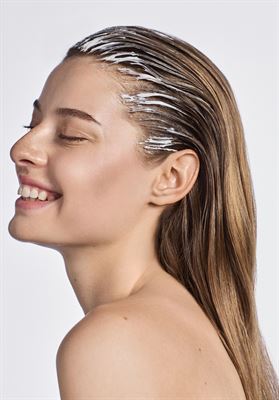 modelbook image no. 255182