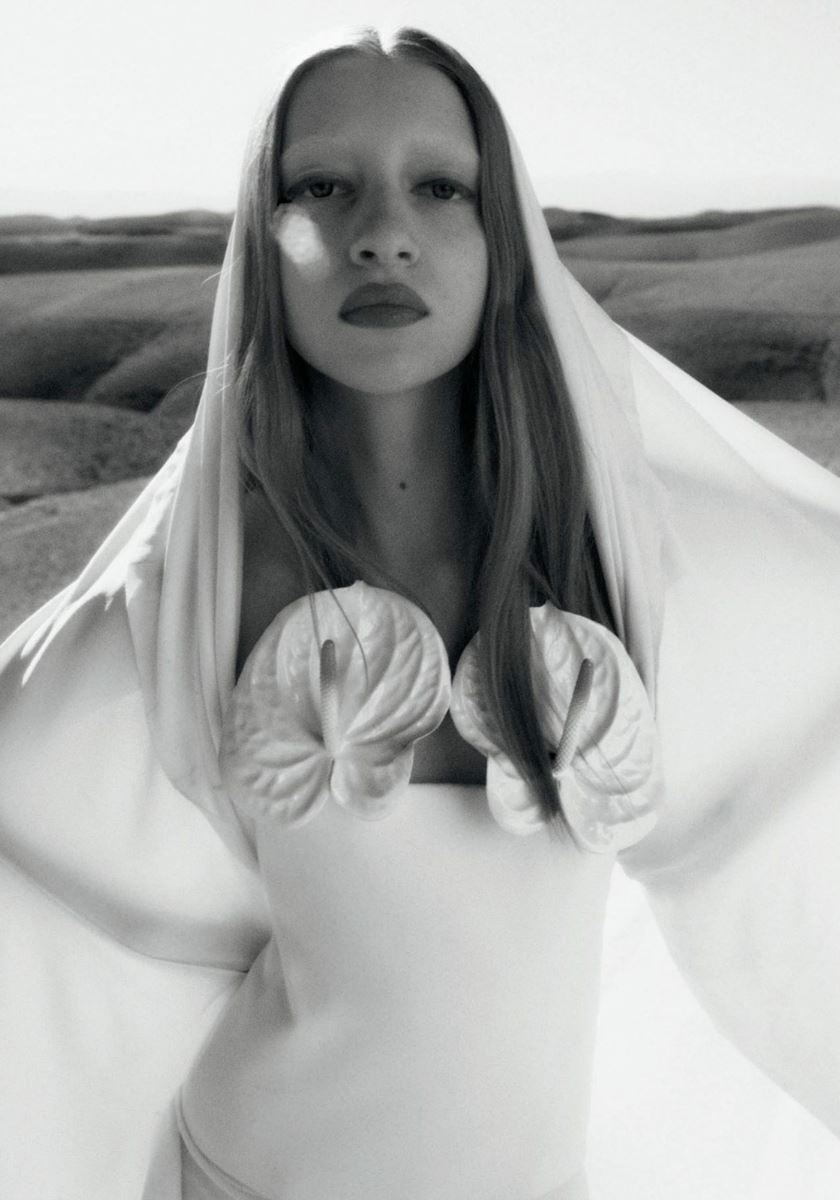 modelbook image no. 246456