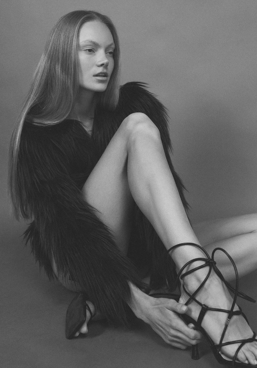 modelbook image no. 248660