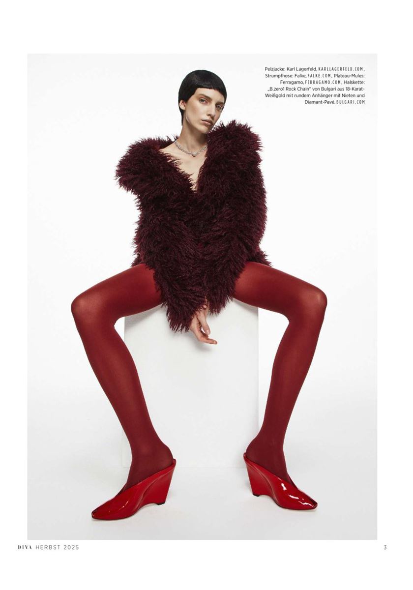 modelbook image no. 251648