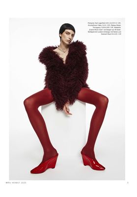 modelbook image no. 251648