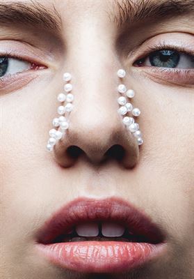 modelbook image no. 247532