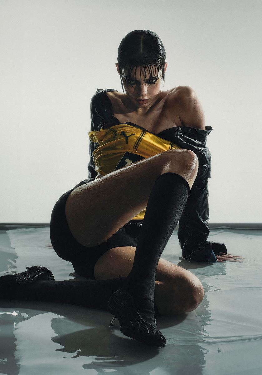 modelbook image no. 252473