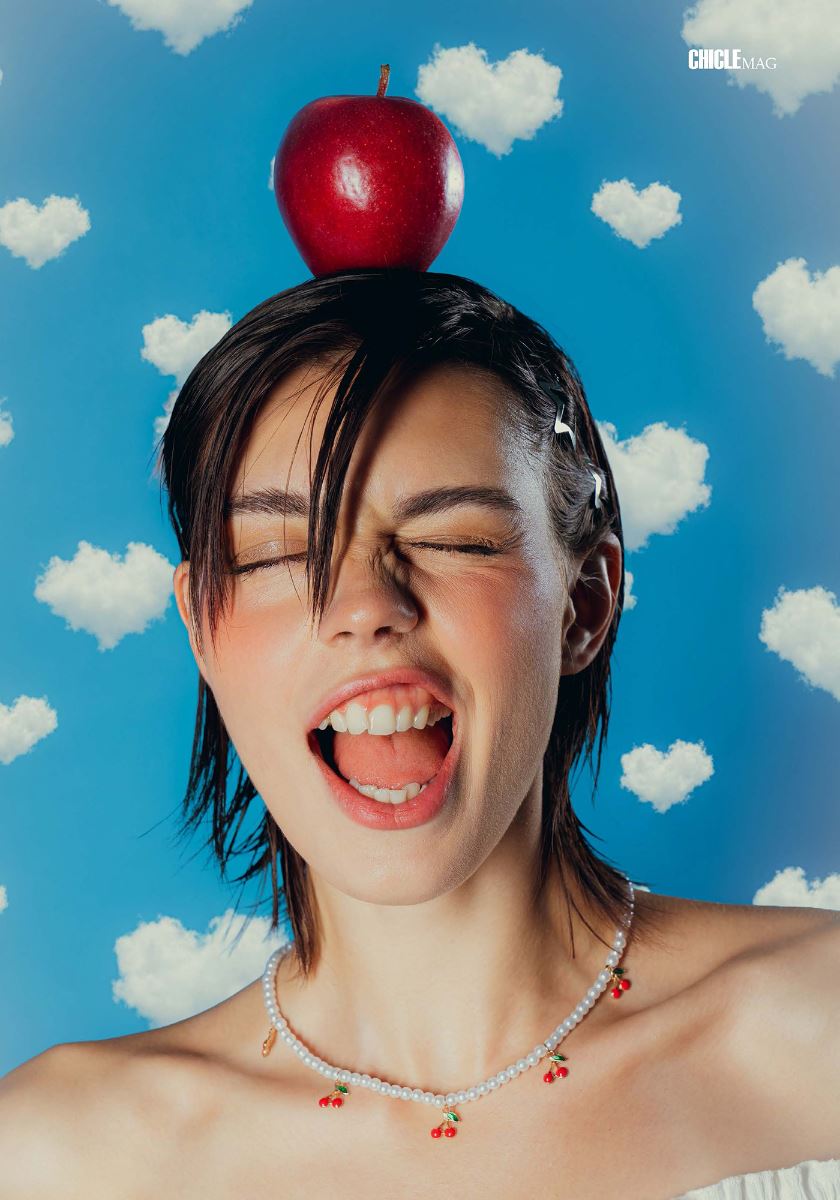 modelbook image no. 255982