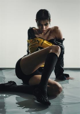 modelbook image no. 252473