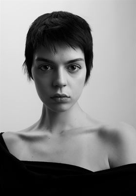 modelbook image no. 252479