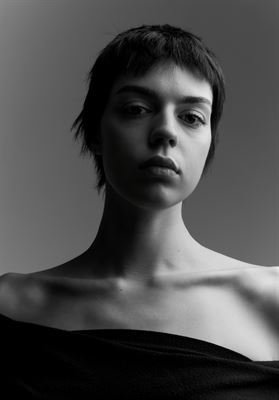 modelbook image no. 252471