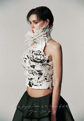 modelbook image no. 268787