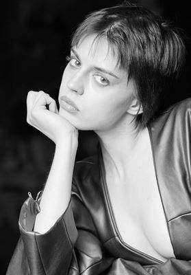 modelbook image no. 255084