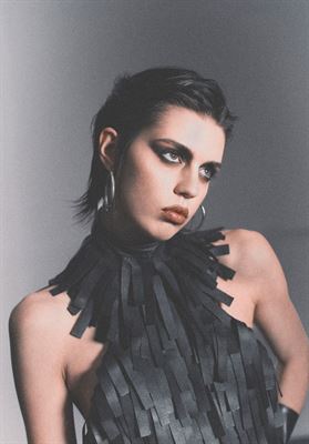 modelbook image no. 262489