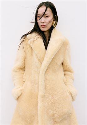 modelbook image no. 253396