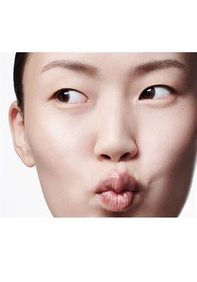 modelbook image no. 253897