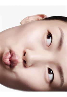 modelbook image no. 253898