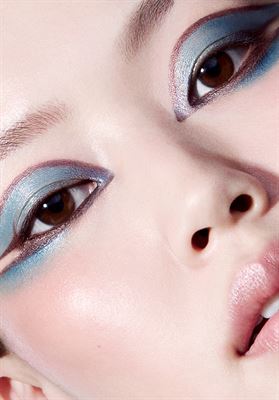 modelbook image no. 253891