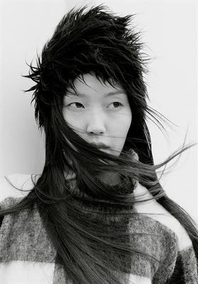 modelbook image no. 253403