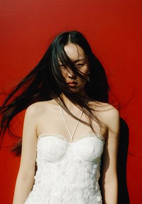 modelbook image no. 245403