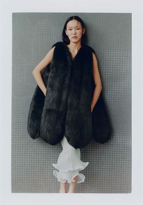 modelbook image no. 253399