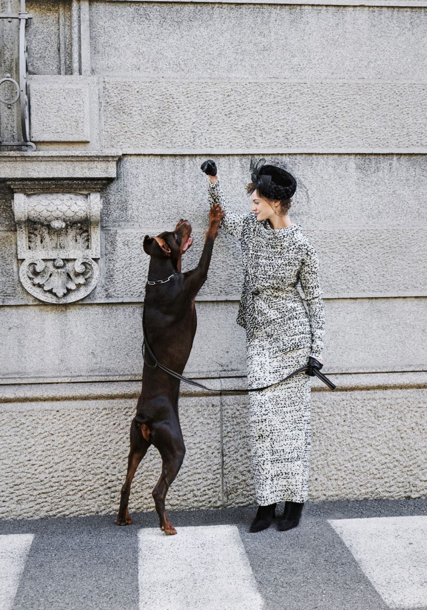 modelbook image no. 255276