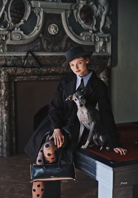 modelbook image no. 255275