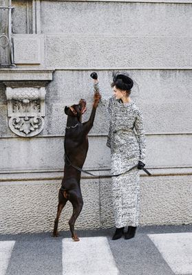 modelbook image no. 255276