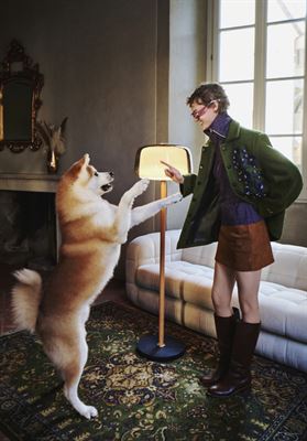 modelbook image no. 255274