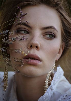 modelbook image no. 247183