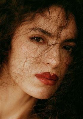 modelbook image no. 255447