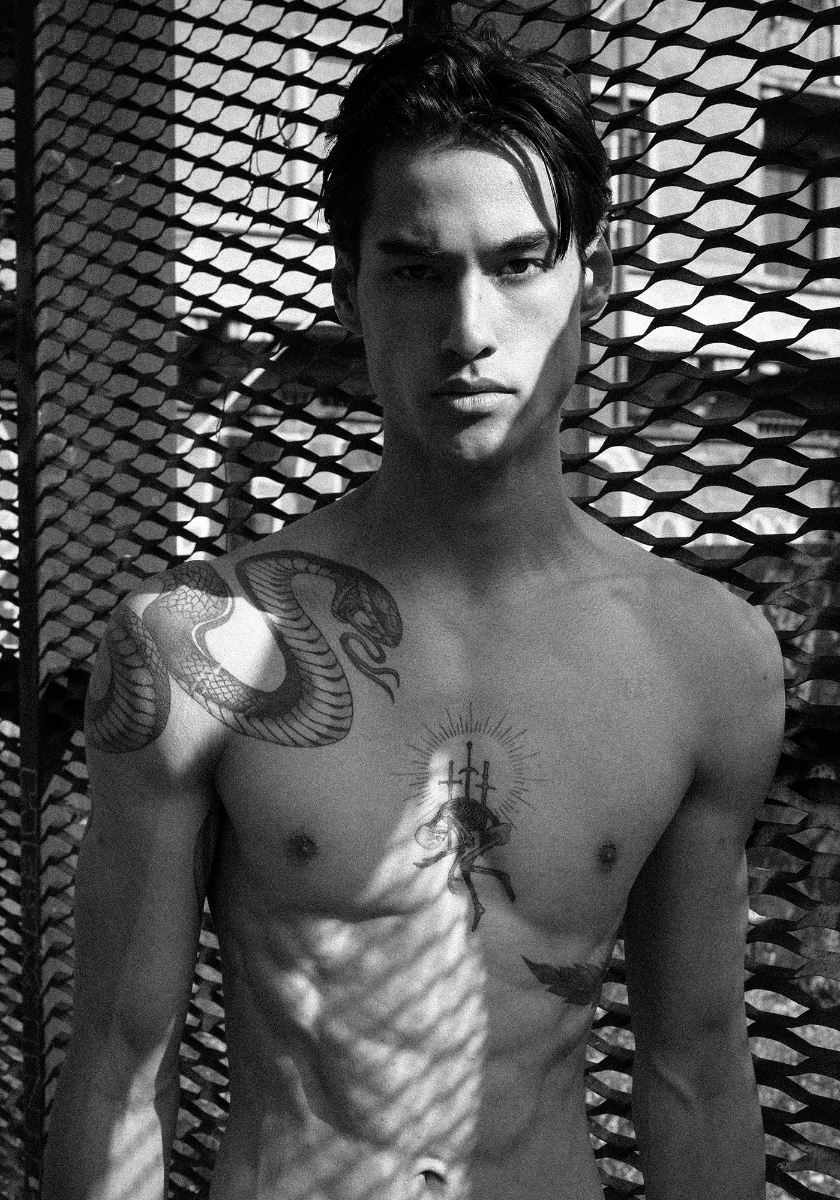 modelbook image no. 252762