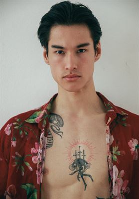 modelbook image no. 248962