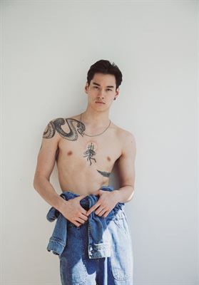 modelbook image no. 247700